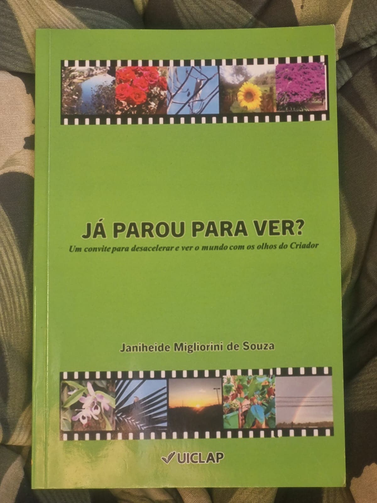 Capa do livro Já Parou Para Ver?, de Janiheide Migliorini de Souza